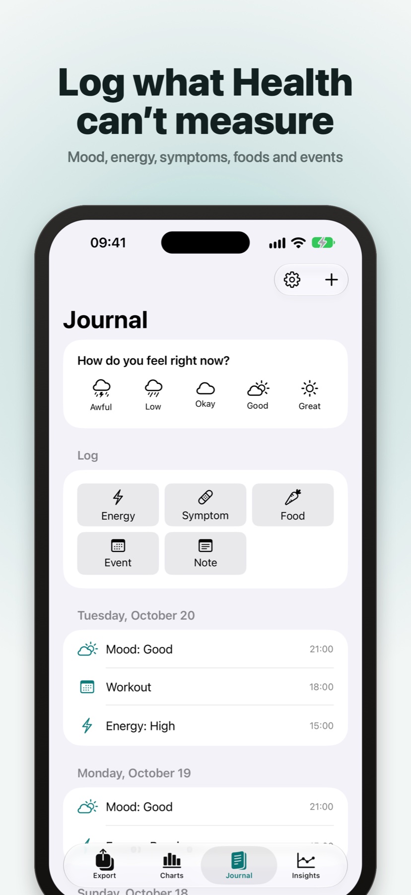 The journal: mood, energy, symptoms, foods and events